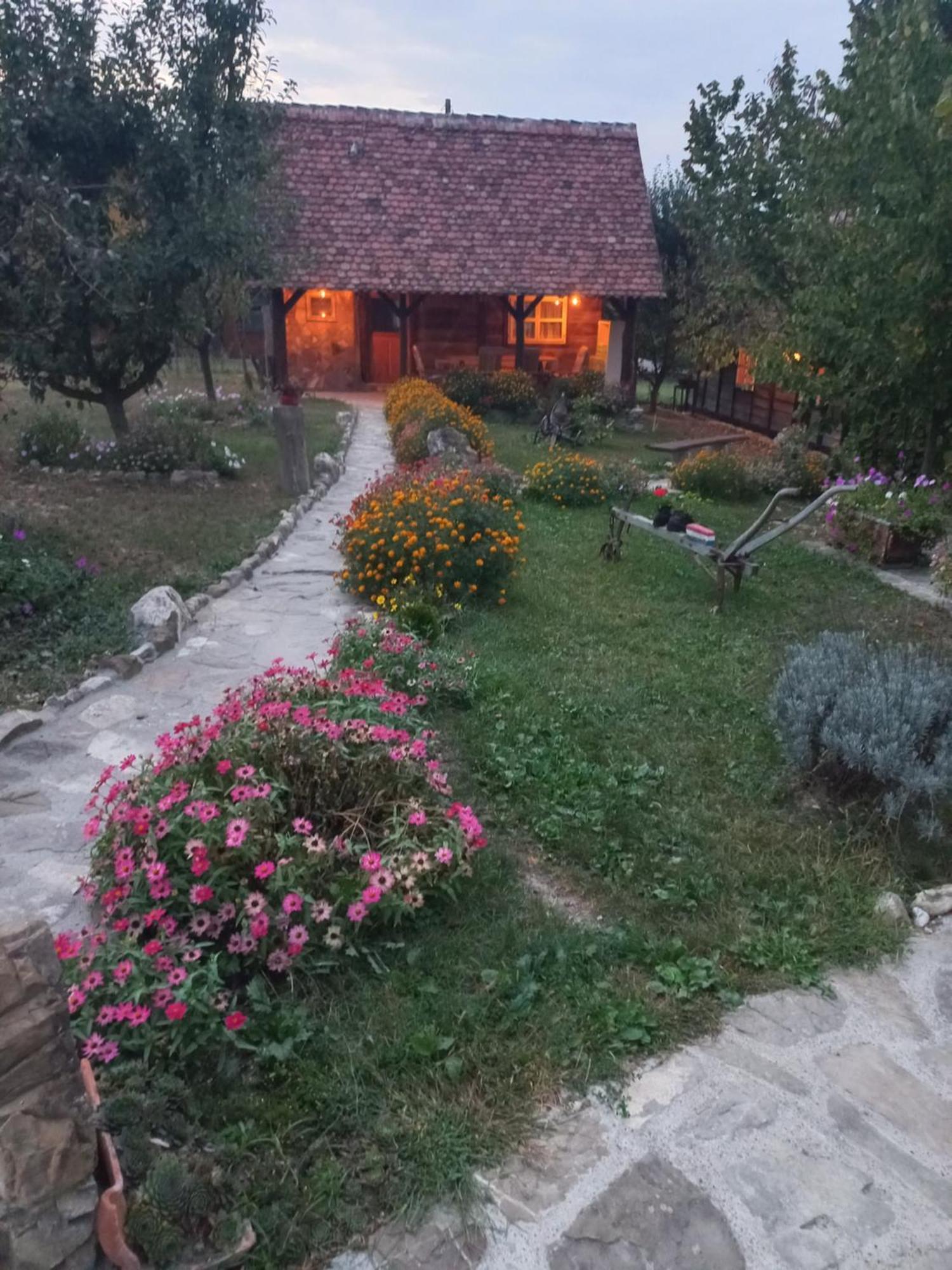 Magaze de Luxe Villa Gradacac Exterior foto