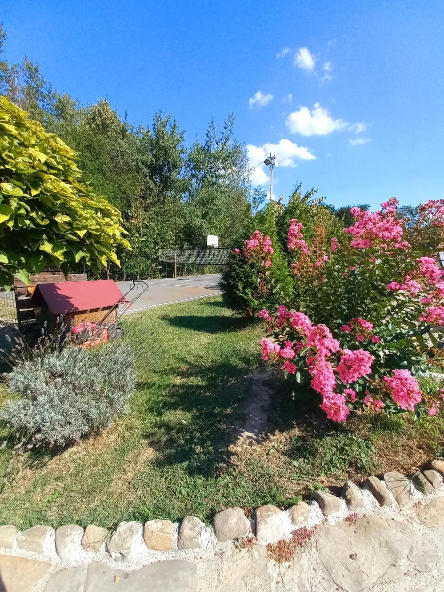 Magaze de Luxe Villa Gradacac Exterior foto